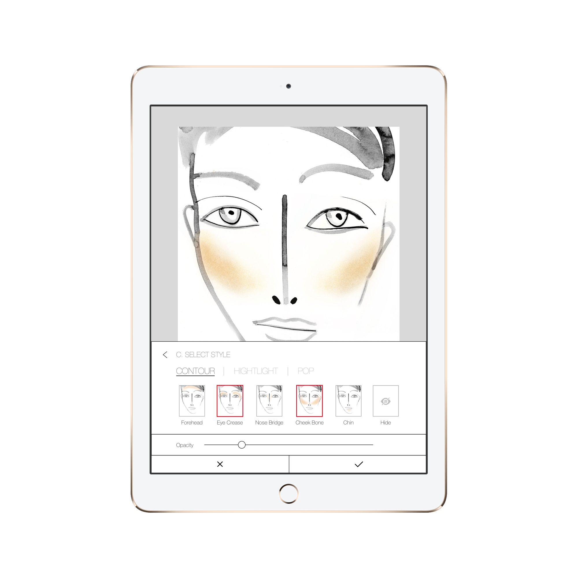 6.4.1.1 Face Chart Cheek Style Contour Nose Bridge ipadair2 gold portrait